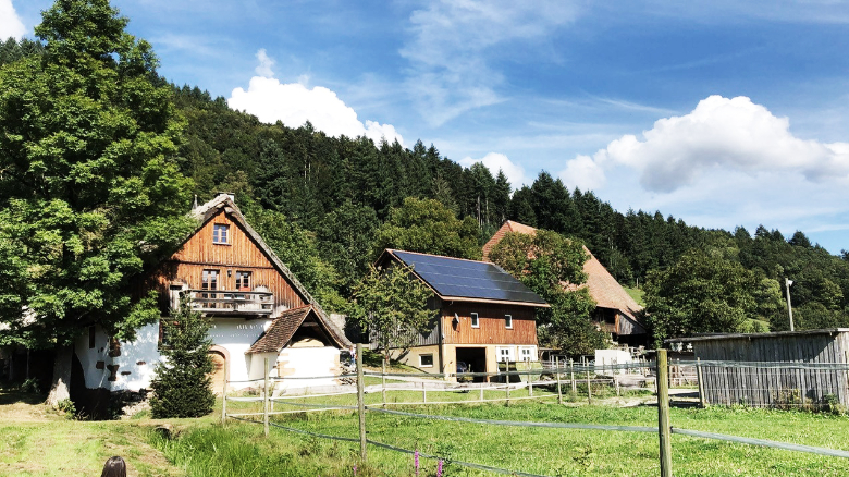 Martinshof